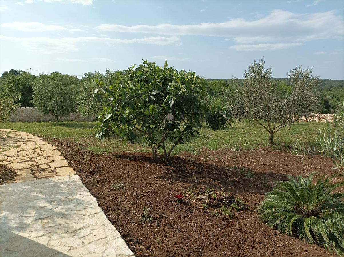New 2023 Villa Tree Of Life Sveti Petar  Ngoại thất bức ảnh
